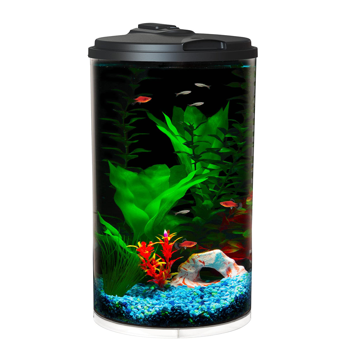 Koller Products Plastic 6-Gallon AquaView 360 Aquarium Kit for Tropical Fish, Betta Fish with LED Lighting and Power Filter Clear, 4-Piece Set Koller Products
