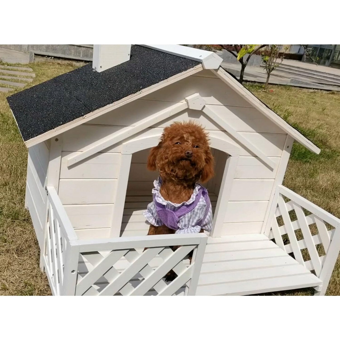 Critter Sitters 27'' Pet House with Porch, Weather-Resistant Dog House for Animals up to 44 Pounds, Waterproof Outdoor Dog House, Ideal for Cats, Dogs, and Rabbits, White Fir Wood Dog Houses