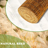 TOOKNIN 1 Pack Natural Reed Fence,5.5FT X 16.4FT Bamboo Fencing Privacy Reed Screening for Outdoor, Gallery, Restaurant, Hotel, Patio (Brown) TOOKNIN