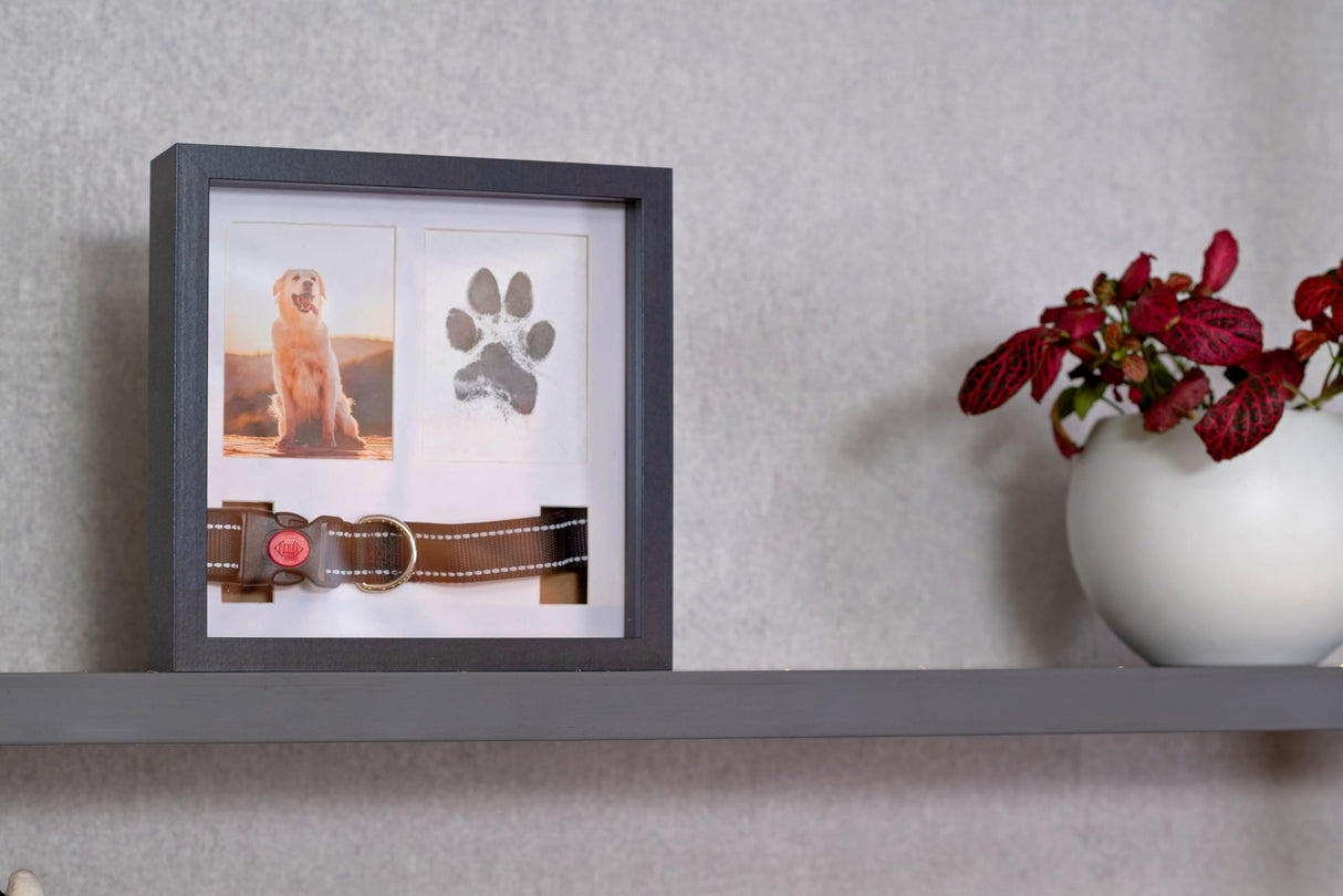 OtterPets Memorial Picture Frame, 4 Customizable Displays, 9x9, Paw Print Kit for Dogs, Dog Memorial Gifts for Loss of Dog, Loss of Pet Sympathy Gift, Pet Paw Print Impression Kit OtterPets
