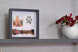 OtterPets Memorial Picture Frame, 4 Customizable Displays, 9x9, Paw Print Kit for Dogs, Dog Memorial Gifts for Loss of Dog, Loss of Pet Sympathy Gift, Pet Paw Print Impression Kit OtterPets