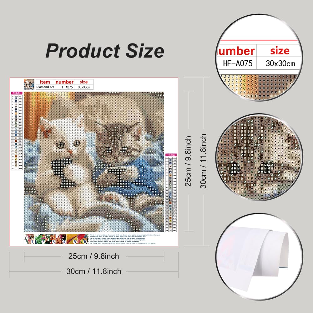 hill froeistung 5D Cat Diamond Art Painting Kits for Adults,Beginners,Cute Animal, DIY Full Drill Diamond Art Painting for Wall Decor,12x12inch hill froeistung