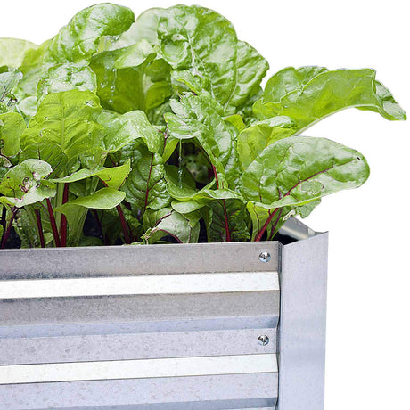 FOYUEE Galvanized Raised Garden Beds for Vegetables Large Metal Planter Box Steel Kit Flower Herb, 8x4x1ft FOYUEE