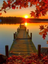 Diymood DIY 5D Diamond Painting Kits for Adults Sunset Autumn Bridge - Diamond Art Kits for Adults | Full Drill Round | Crystal Mosaic Picture | Beginner | Home Wall Decor | 30x40cm (12x16inch) Diymood