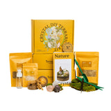 DIY Crystal Terrarium Kit– All-in-One Starter Kit with Moss, Pumice, Crystals, Coconut Coir, Gardening Tools & Decor | Healing Gift for Stress Relief | Plants & Crystal Lovers | Desk & Office Decor Terra Tales