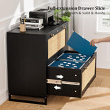 VINGLI Black Rattan 2 Drawer Lateral File Cabinet with Lock, Wood Locking File Cabinets for Home Office, File Cabinet Printer Stand for Hanging Letter/Legal Size Labeled Folders, Oak, 30W x 16D x 28H VINGLI
