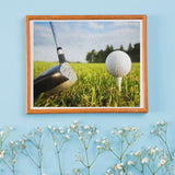 VNUIEHG Golf Sport Paint by Numbers for Adults Beginner DIY Painting Kits Wall Art for Home Office Decor, Style16x20In VNUIEHG