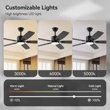 SUNMORY 52" Ceiling Fans with Lights, Smart Ceiling Fan with APP and Remote Control, Reversible DC Motor, Noiseless, Stepless Dimmable, Modern Ceiling Fan for Indoor/Outdoor Use, Black SUNMORY