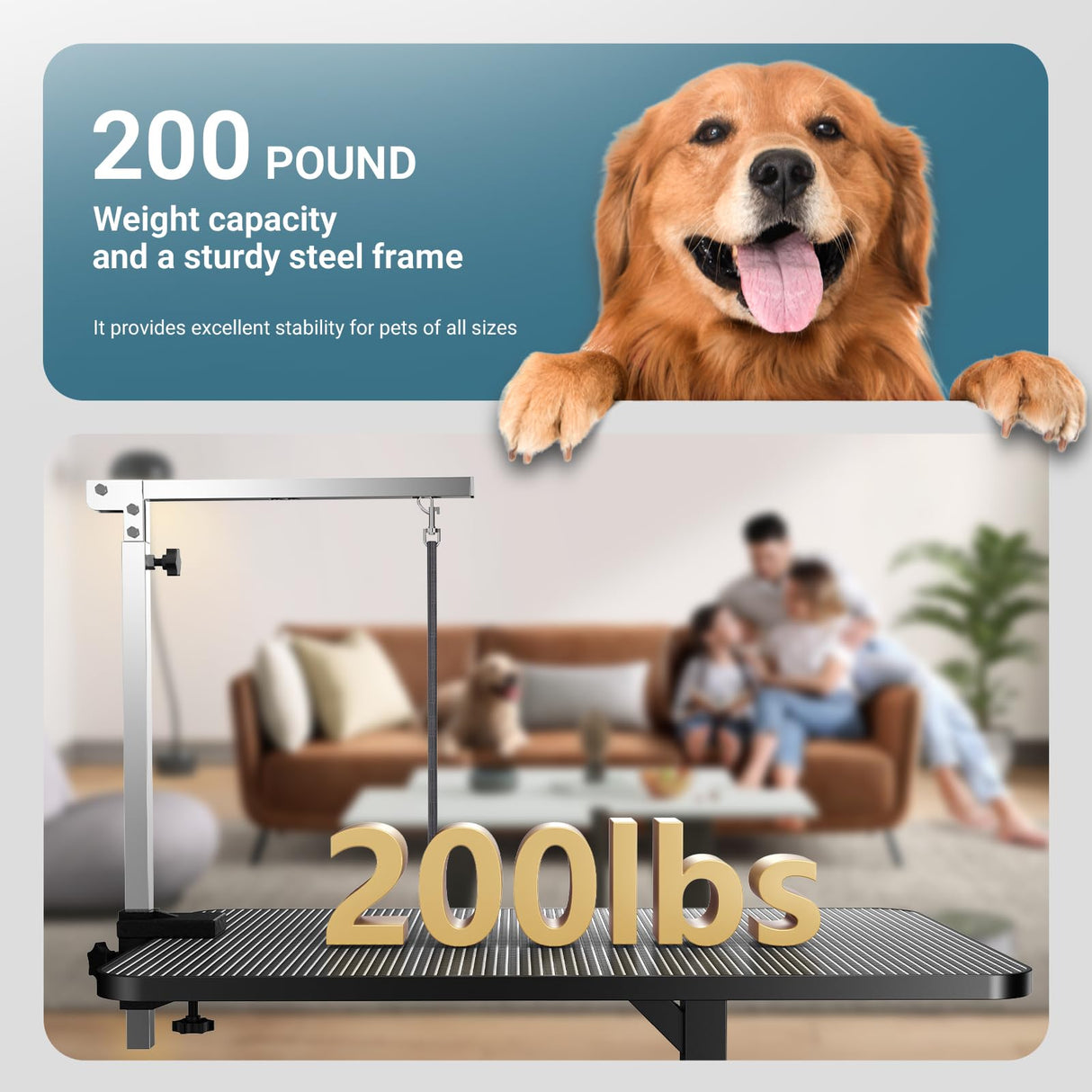 36'' Hydraulic Lift Dog Grooming Table, Adjustable Cat Drying Desktop - Foldable, Adjustable Arm, Portable, Non-Slip Dog Grooming Table for Large Small Dogs at Home, Weight Capacity 200LBS（Black) HEBESPACE