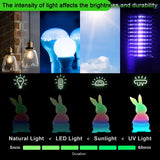 YOUSU 3D Printer Filament Bundle, Glow in The Dark Filament Multicolor, Green, Blue, Purple and Rainbow, PLA Filament 1.75 mm, Dimensional Accuracy +/- 0.03 mm, 250g X 4 Pack Yousu