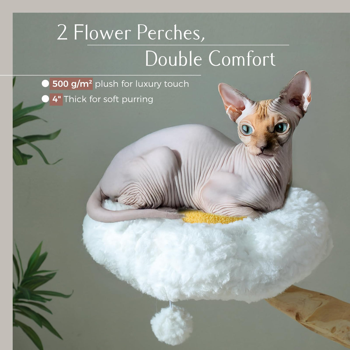PAWZ Road Cat Tree for Indoor Cats Large Adults, 59 Inches Modern Cat Tower with Large Basket and Hammock, Natural Solid Wood, Luxury Condo & Dual Perches, Modern Cat Furniture for Big Cats, White PAWZ Road