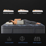 Nedersal Full Mattress 10 Inch,10 Inch Deep Sleep Mattress Extra Lumbar & Shoulder Support,Fiberglass Free, No Odor,365 Night Trial - Forever Warranty,CertiPUR-US Certified Nedersal