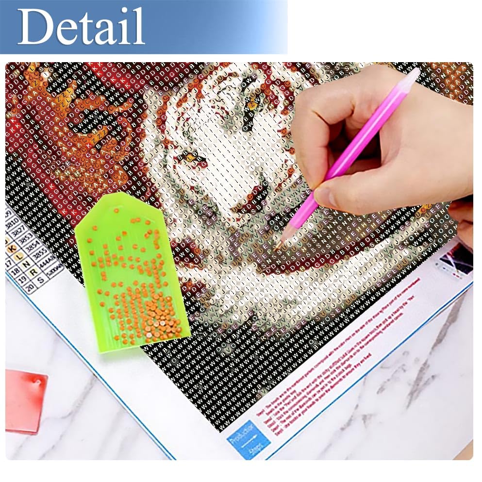 JFYHAB Tiger Diamond Painting Kits-Taichi Tiger Diamond Painting Kits for Adults,5D DIY Full Drill Dragon Diamond Art for Home Wall Decor 12x12inch JFYHAB