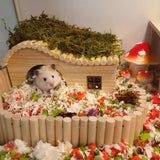 Wooden House With Windows for Small Animals - Climbing Play Hut for Hamster, Sugar Gliders, Gerbil, Rat Wood Hideout Hamiledyi
