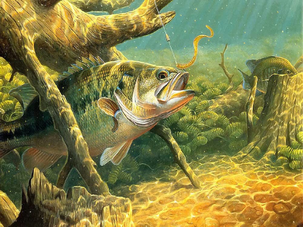 Zimal 5D DIY Diamond Painting Bass Fishing Lake Sunset Embroidery Full Round Diamond Cross Stitch Rhinestone Painting Decor 11.8 X 15.8 Inch YSCOLOR