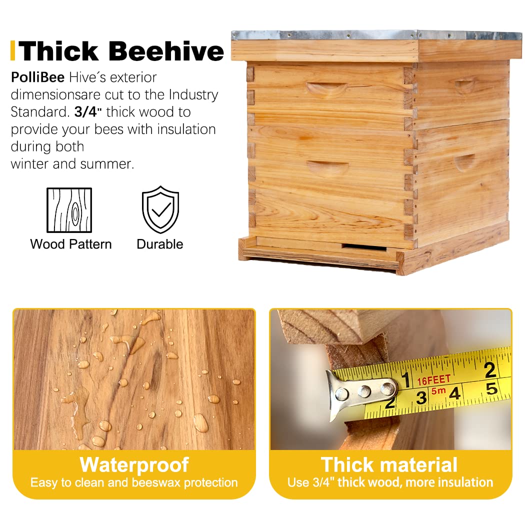POLLIBEE Bee Hive Starter Kit, 8 Frame Bee Hives, Hive Include1 Deep Bee Box 1 Medium Beehive Box with Bee Frames and Wax Foundation,Unassembled Beehive Starter Kit for Beekeeper POLLIBEE