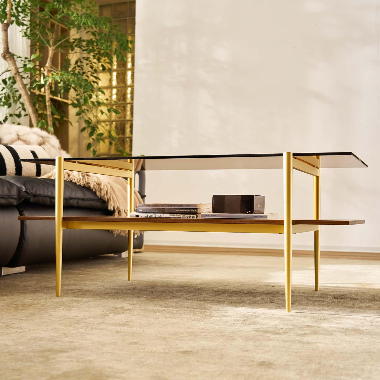 AGV LIGHTING 202206 Tadio Glass Coffee Table, Double Layer Coffee Table for Living Space, Gold Finish Frmae, Coffee Brown Glass Top & Walnut Brown Wood Top AGV LIGHTING