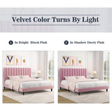 Allewie King Platform Bed Frame/Velvet Upholstered Bed Frame with Vertical Channel Tufted Headboard/Strong Wooden Slats/Mattress Foundation/Box Spring Optional/Easy Assembly/Pink Allewie