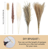 Total 104 pcs /11 Various Dried Pampas Grass Décor, White Pompous Grass, Bunny Tails Dried Flowers Reed Grass, 17 inch Pompass Grass for Flower Arrangements Boho Wedding Home Décor (Ivory White) Glamativity