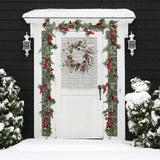 LOHASBEE Artificial Christmas Wreath, 24" Snow Flocked Pine Cone Grapevine Frosted Wreath with Red Berries Eucalyptus for Front Door Winter Christmas Home Hanging Wall Window Party Decor LOHASBEE