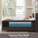 Duchessz King Mattress, 10 Inch Hybrid Mattresses Black with Gel Memory Foam and Individually Pocket Innerspring Euro Top Medium Firm for Motion Isolation, Edge Support, 100 Night Trial Duchessz