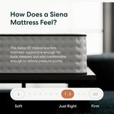Siena 10” Twin Hybrid Firm Mattress - Memory Foam & Innerspring System - 180 Night Trial - Premium Pressure-Relieving Layers - 10 Year Warranty - Mattress in a Box - CertiPUR-US Certified Siena