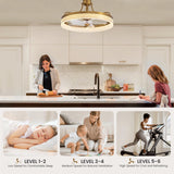 Moooni 20" Ceiling Fan with Light Remote Control Gold Ceiling Fan with Light, 6 Wind Speeds Flush Mount Fandelier, Low Profile LED Ceiling Fan, Modern Ceiling Fan for Bedroom Living Room Kitchen Moooni