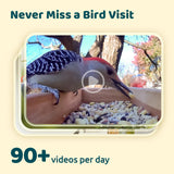 NETVUE by Birdfy Upgraded Smart Bird Feeder Camera, Solar Powered, Auto Bird Video Capture, Instant Notifications, AI Identify 6000+ Species NETVUE