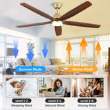 60 Inch Outdoor Ceiling Fan with Light and Remote, Gold Ceiling Fans with Lights, Solid Wood Blade, Quiet Reversible DC Motor, Damp-Rated Large Outdoor Ceiling Fans for Patios Porch Gazebo Farmhouse ShreeFindee
