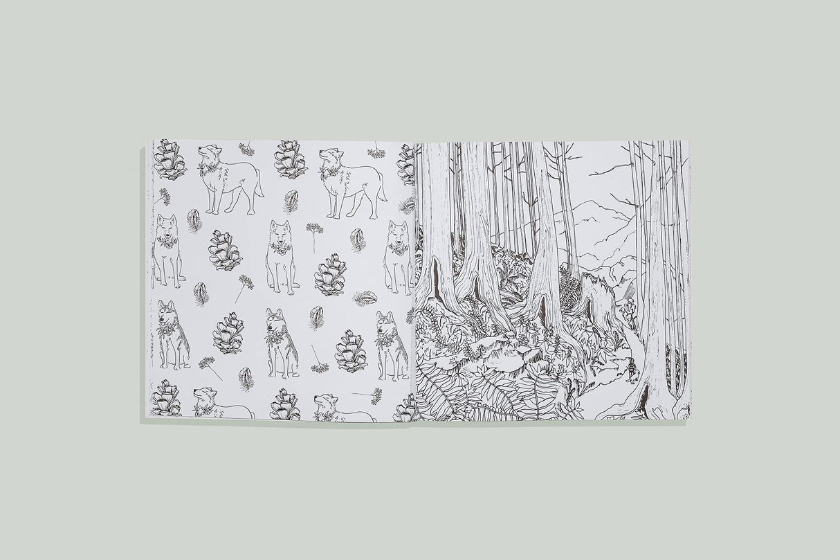 The Plant Lady: A Floral Coloring Book with Succulents and Flowers B Blue Star Press