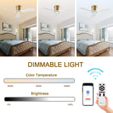 OFANTOP 52 Inch Smart Ceiling Fan with Light and Remote, Indoor 3 Blade White Gold Low Profile Flush Mount Modern Ceiling Fan for Bedroom Living Room OFANTOP