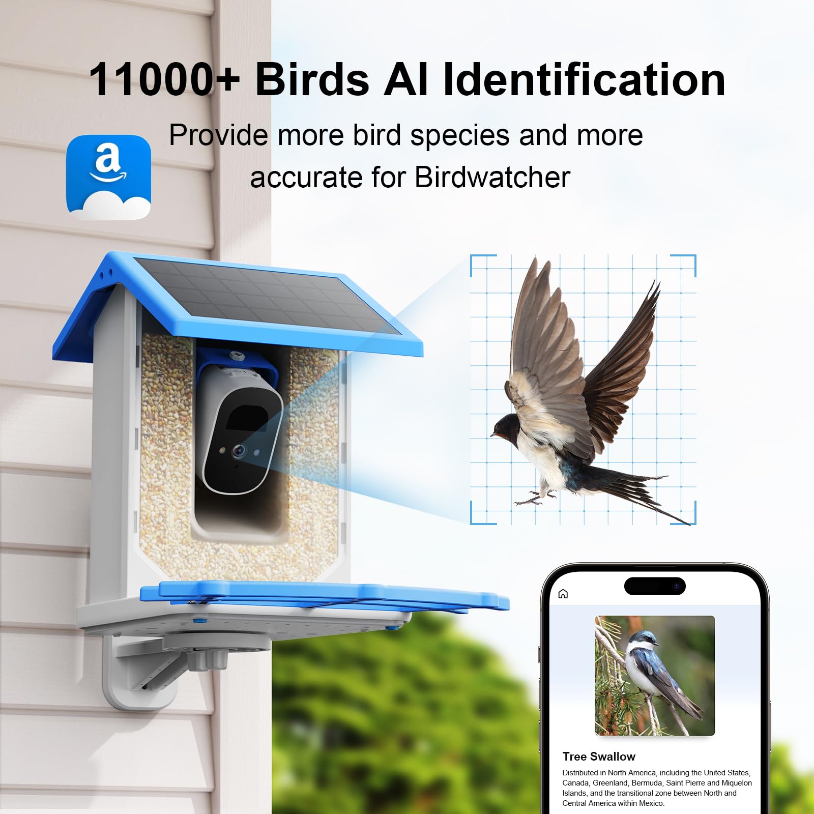 Smart Bird Feeder with Camera - Thumbnail 4