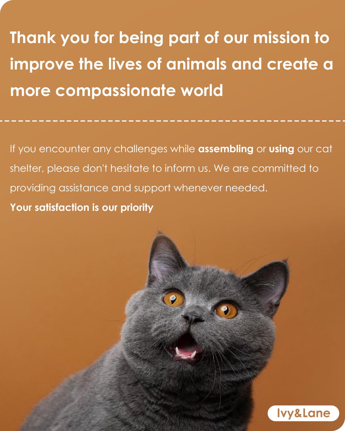 Ivy&Lane Outdoor-Cat-House | Insulated-Feral-Cat-Shelter | Weatherproof | for Winter | Foam & Wood | Large | for Multiple Cats | Fold-up Stair | Acrylic Window | Brown IVY&LANE