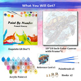 JUJUHOOD Abstract Turtle Framed Paint by Numbers Kit for Adults Beginner & Kids Ages 8-12, Ccean Turtle Paint by Number Without Easel, Simple Paint by Numbers for Gift Home Wall Decor (10x10Inch) JUJUHOOD