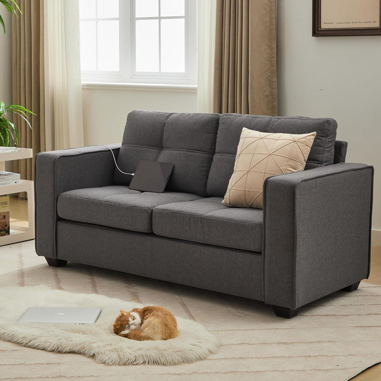 TYBOATLE 65" Small Couches for Bedroom, Mid-Century Modern Tufted Comfy Loveseat w/USB Charging Ports and Wide Arms, 2 Seater Office Small Sofa for Dorm, Apartment, Grey TYBOATLE