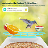 Smart Bird Feeder with Camera, Bird House with Cam with AI Identify Bird Species, Auto Capture Bird Videos & Motion Detection, Real Time Views, Bird Watching Camera Gift for Bird Lover HARYMOR