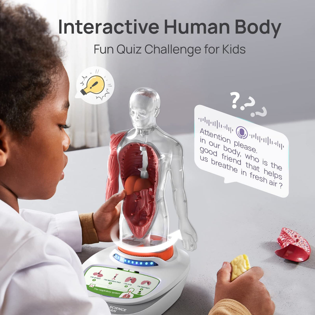 Science Can Human Body Model for Kids, Interactive Human Anatomy Talking Model - 11 Inch Realistic Anatomical Assembly Kit 15PCS Removable Parts and Guide STEM Educational Toys for Kids Aged 6+ Gifts Science Can