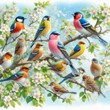 Acudotr Diamond Painting Kits for Adults, 5D DIY Diamond Art Kits for Beginners, Full Drill Diamond Painting Kits for Home Wall Decor, Birds, 12x12 Inch Acudotr