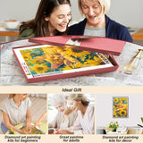 SJUTOUCI Orange Cat Diamond Art Painting Kits for Adults, Diamond Art Kits for Beginners, 5D DIY Full Drill Gem Craft for Home Decor Gift 12x16inch/30x40cm, Animal SJUTOUCI