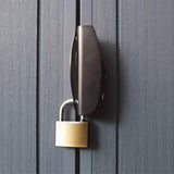 Keter Darwin 6x8 Ft Resin Storage Shed, Graphite Gray – Double Doors with Window & Skylight Keter