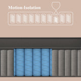 BedStory Plush Queen Mattress 14 Inch - Deluxe Hybrid Mattress in a Box for Pain Relief & Lumbar Support, 365-Night Trial, Motion-Isolation, Fiberglass-Free Soft Bed in a Box, CertiPUR-US Certified BedStory