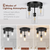 Feanron Farmhouse Flush Mount Ceiling Light, Black 3-Light Hallway Light Fixtures Ceiling with Clear Glass Shades, Light Fixtures Ceiling Mount for Kitchen Living Room Foyer, E26 Base Feanron