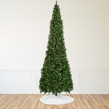 Northlight 16' Pre-Lit Pendleton Spruce Slim Artificial Christmas Tree, Clear Lights Northlight