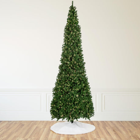Northlight 16' Pre-Lit Pendleton Spruce Slim Artificial Christmas Tree, Clear Lights Northlight