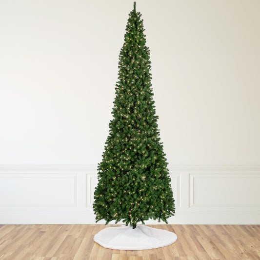 Northlight 16' Pre-Lit Pendleton Spruce Slim Artificial Christmas Tree, Clear Lights