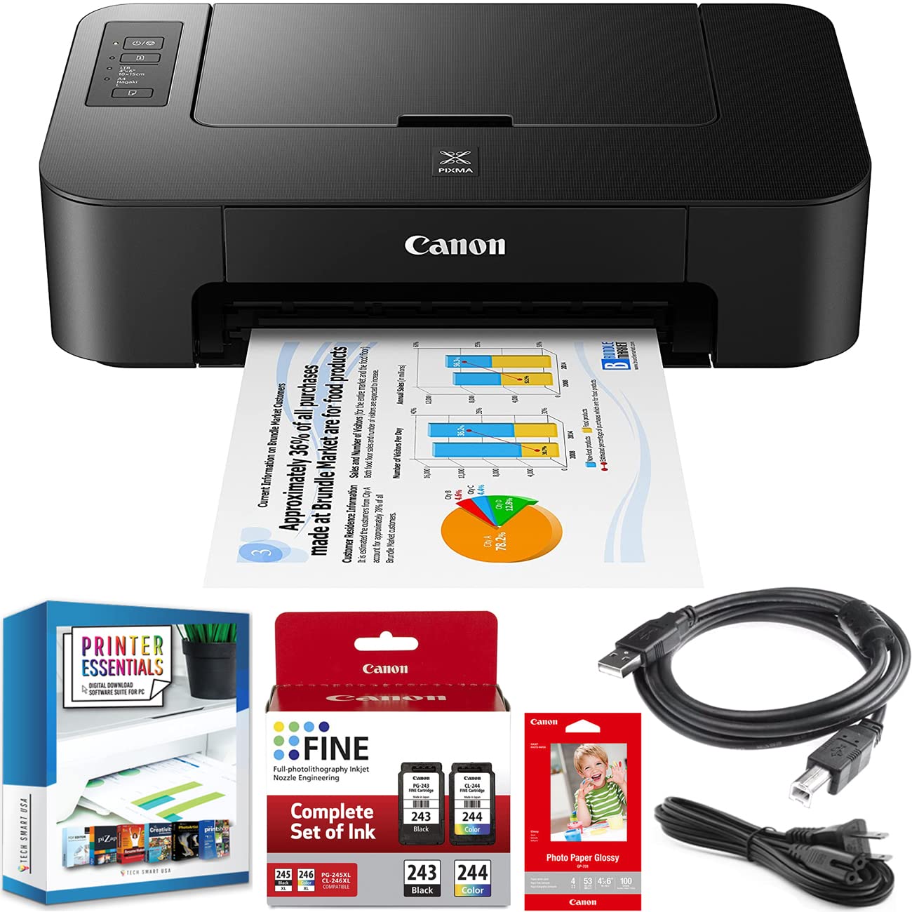 Canon PIXMA TS202 Inkjet Printer for Documents and Photos Up to 4800 x 1200 dpi with Complete Set of Full-Size Ink Cartridges Bundle Including DGE USB High Speed Print Cable + Business Software Kit