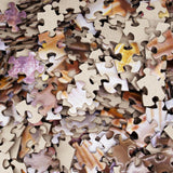 BEDUKE Jigsaw Puzzles for Adults 1000 Pieces Beach Shells 1000 Piece Puzzle Thick Sturdy Precise Interlocking Family Game Age 14+ BEDUKE