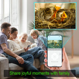 Bird House with WiFi Camera Solar Powered for Wireless Outdoors, HD View Nesting & Hatching, Box House for Bluebird Swallow Wren Chickadee, PIR Detection, SD Card & Cloud Storage, IR Night Vision IP65 Topodome