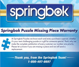 Springbok 1000 Piece Jigsaw Puzzle What's on TV? - Made in USA Springbok