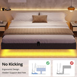 BTHFST King Size Floating Bed Frame with LED Lights – Modern Metal Platform Design BTHFST
